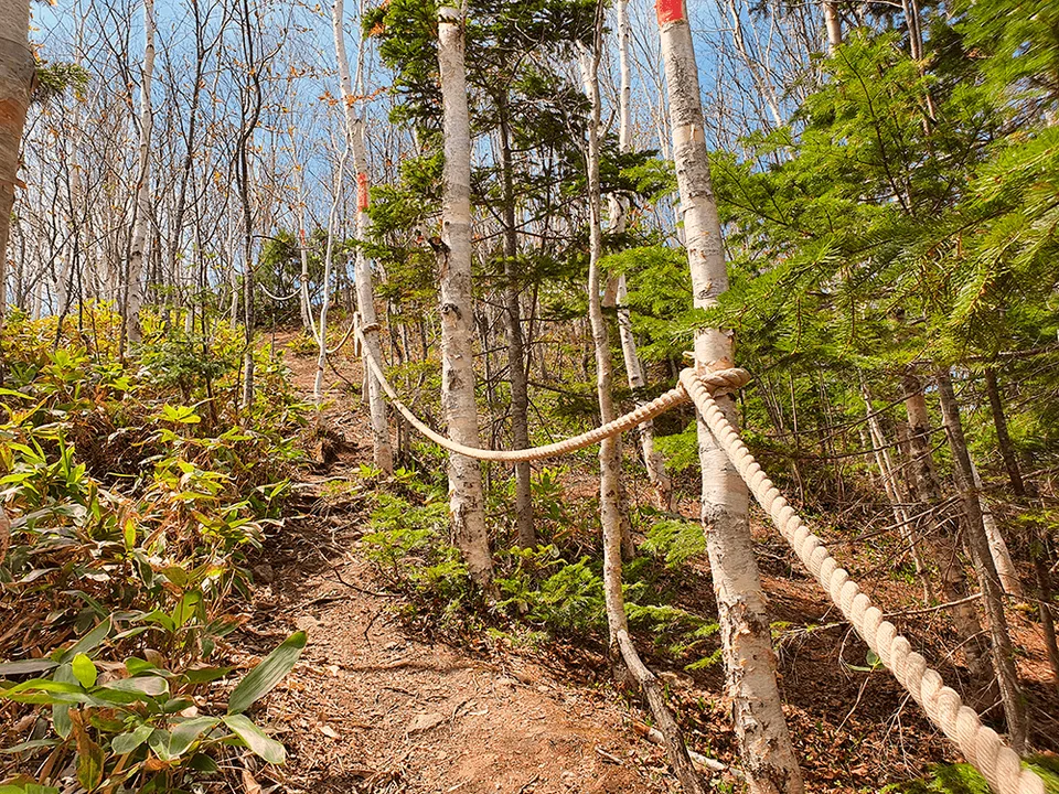 Скала Лягушка на Сахалине