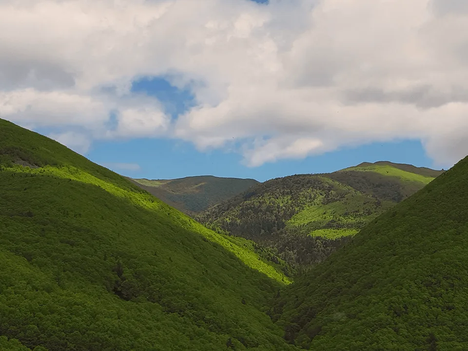 Скала Лягушка на Сахалине