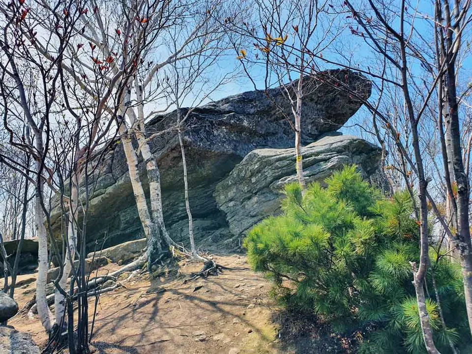 Скала Лягушка, Сахалин