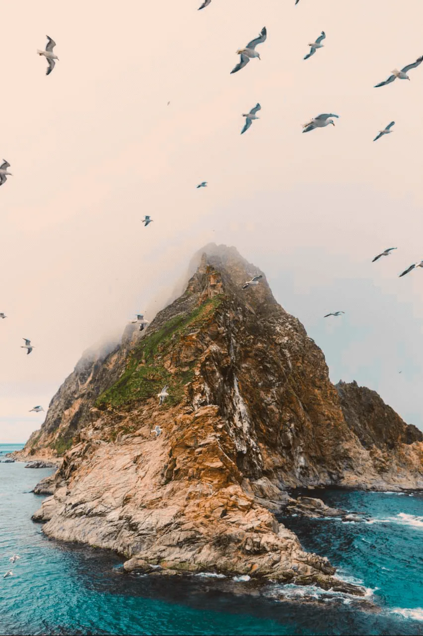 маяк анива сахалин тур