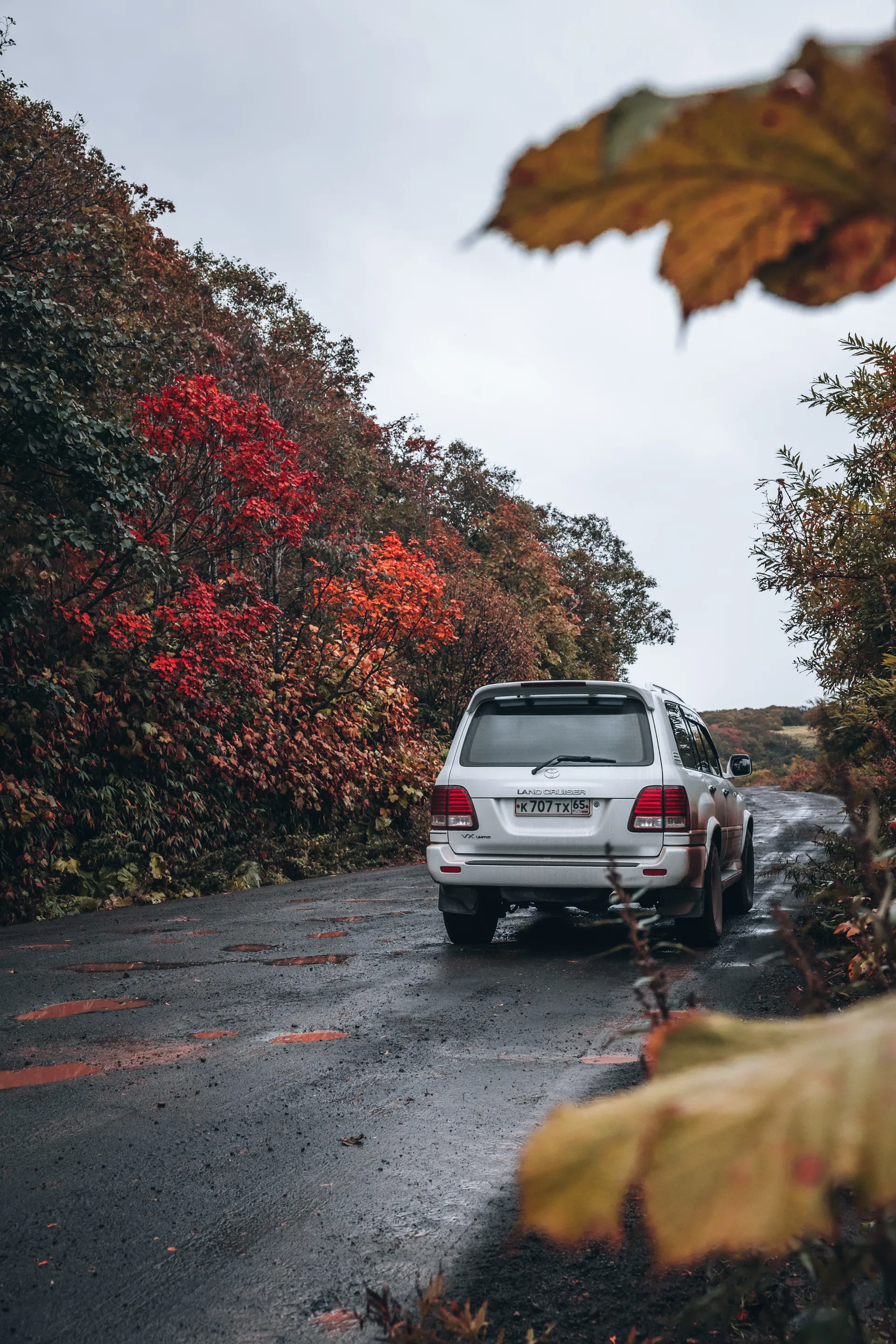 Осенний Итуруп — тур на Курильские острова осенью