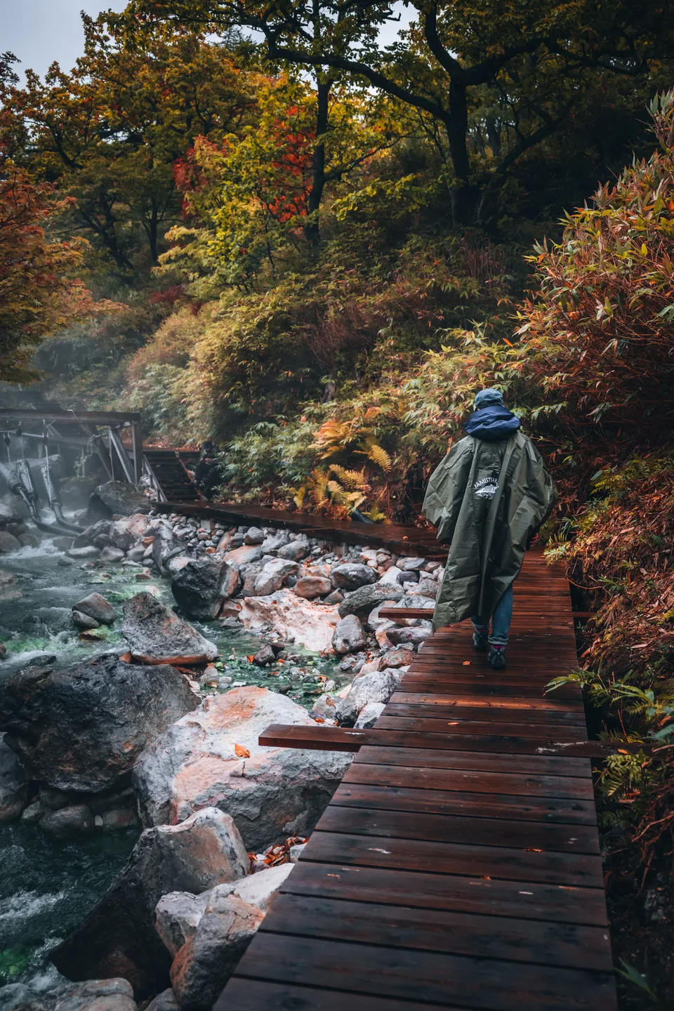 Залив Касатка