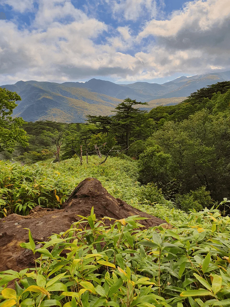 Природа Курильских островов