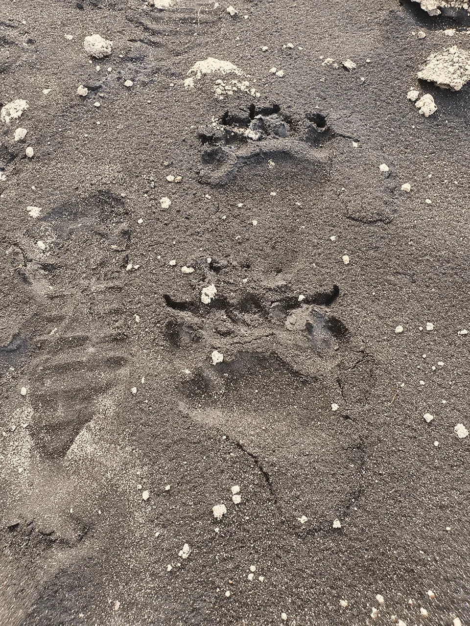 Курильские острова, побережье