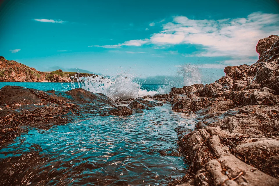 Остров Шикотан — природа