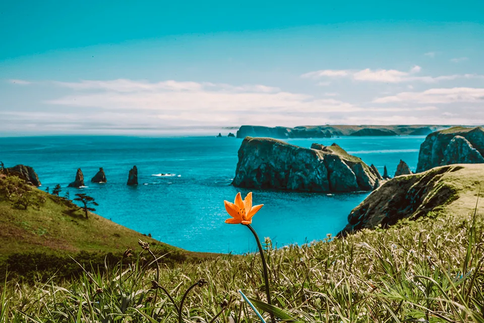 Остров Шикотан — экскурсии