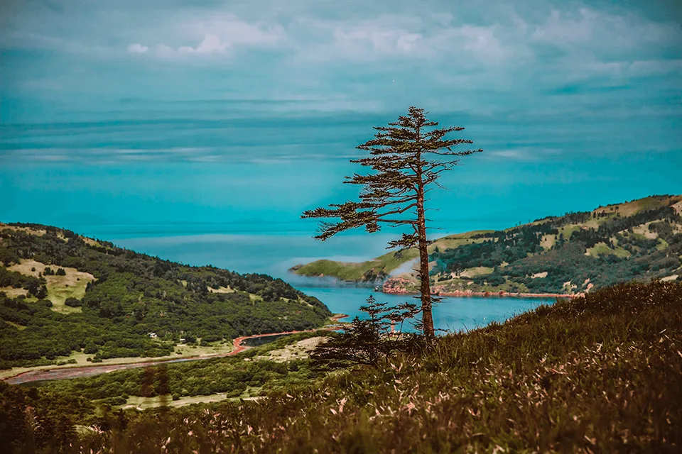 Тур на остров Шикотан