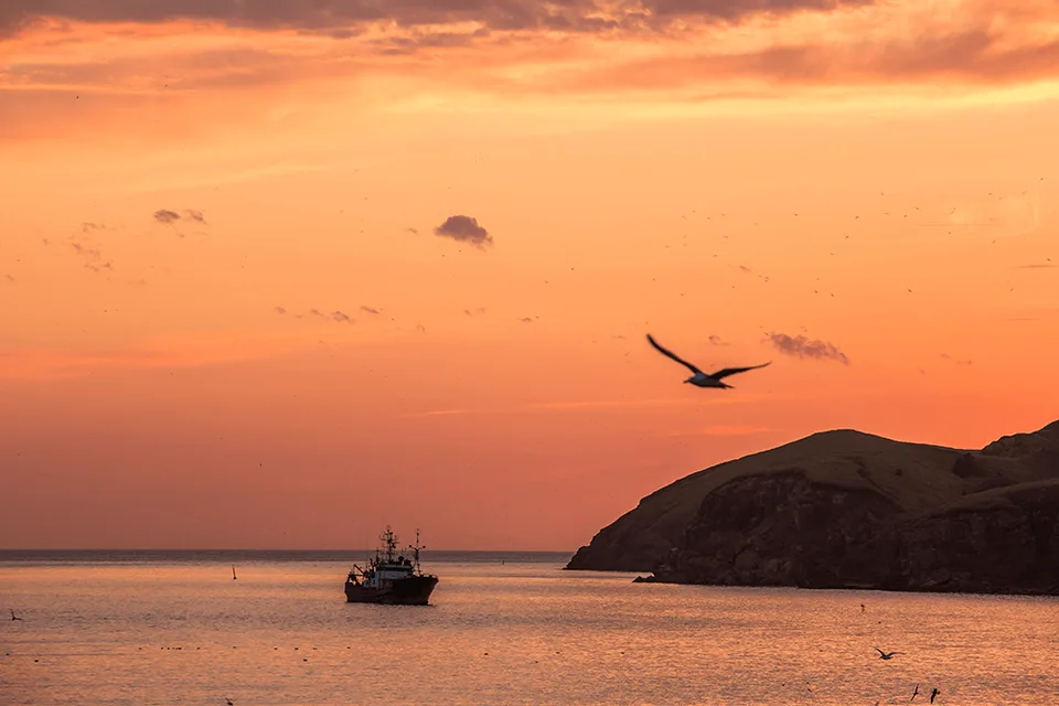 Остров Шикотан — побережье