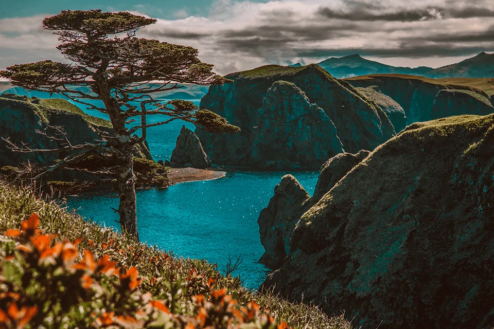 Робинзонада