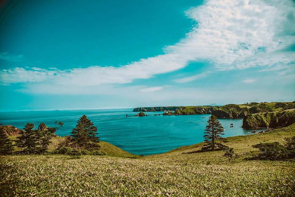 Тур на остров Шикотан — бухта Снежкова