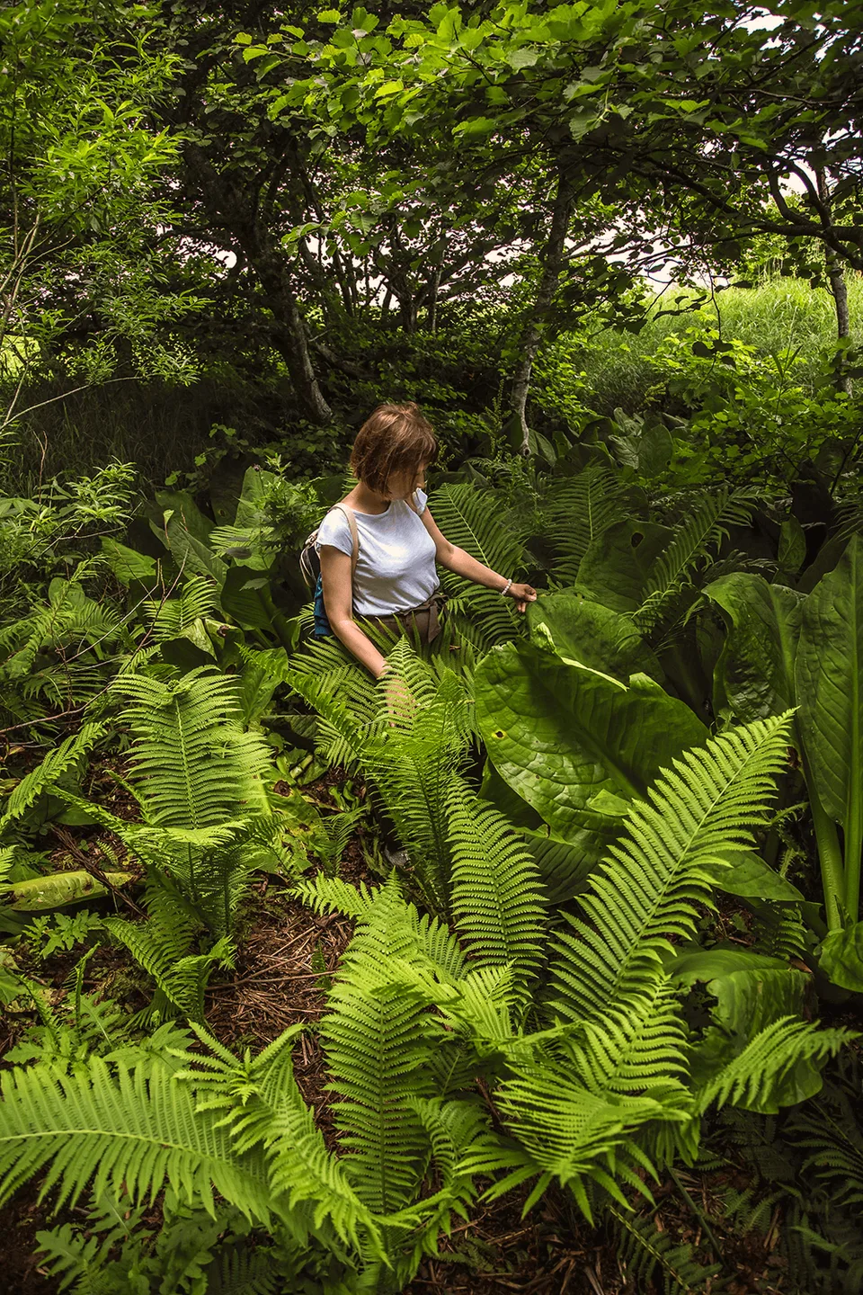 Тур на остров Шикотан — бухта Церковная