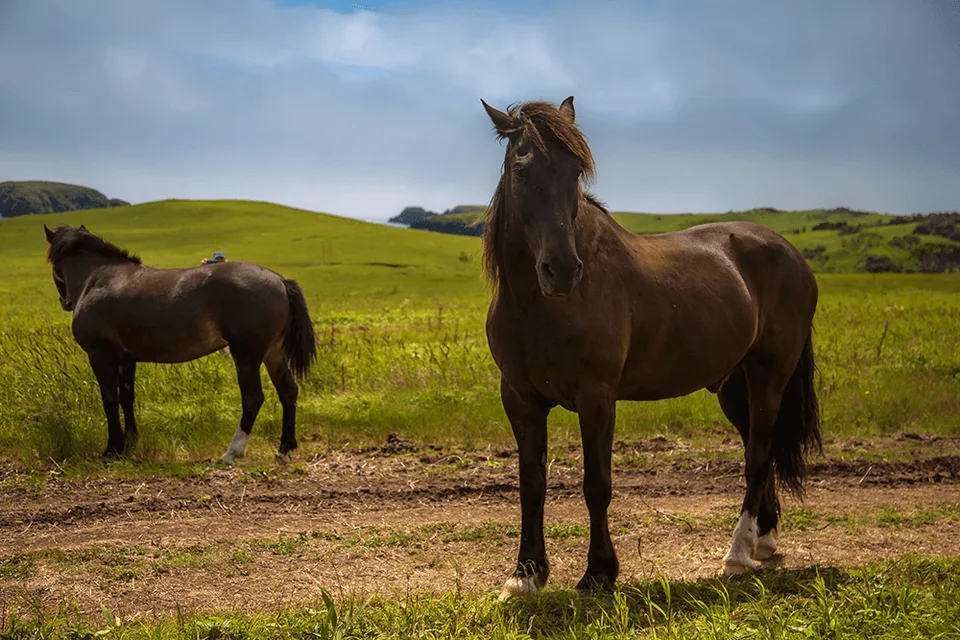 Мыс Край Света — остров Шикотан
