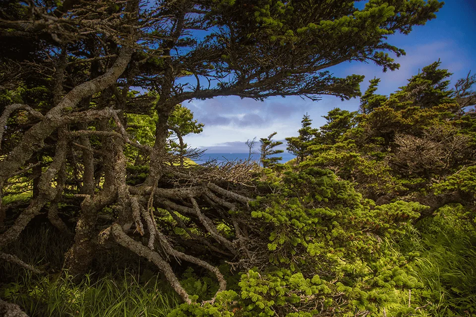 Экскурсия на мыс Край Света