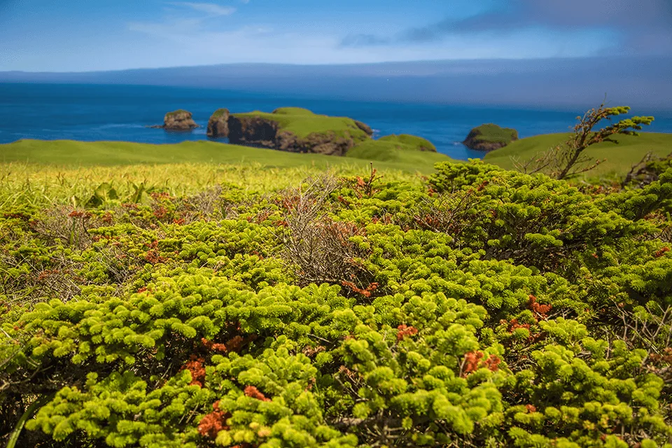 Остров Шикотан — мыс Край Света