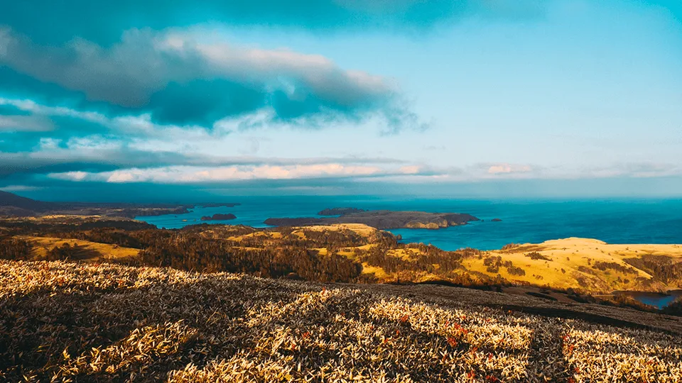 Бухта Дмитрова — остров Шикотан