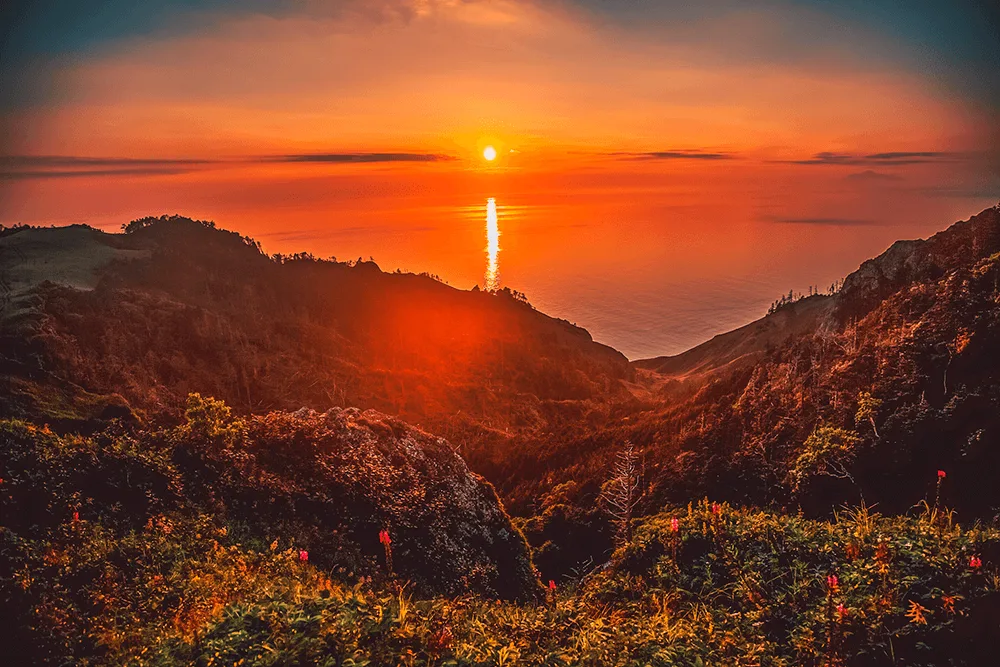 Робинзонада — тур на Шикотан и Итуруп