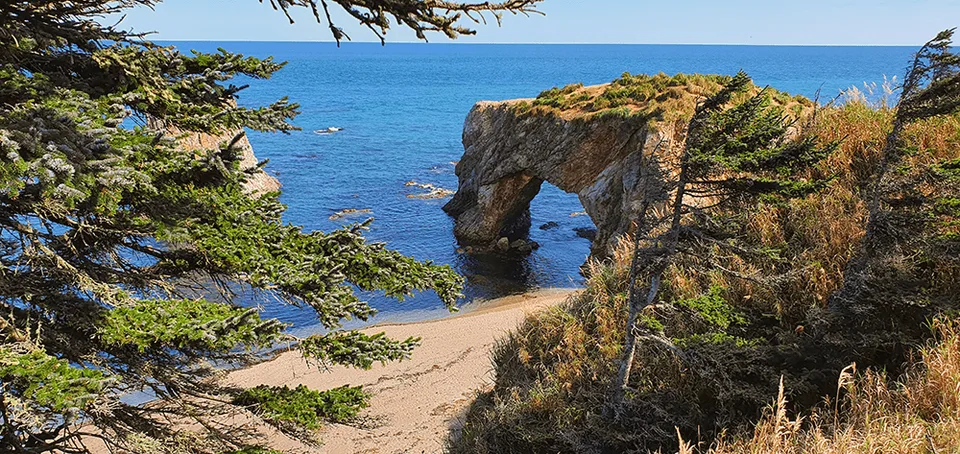 Мыс Великан на Сахалине