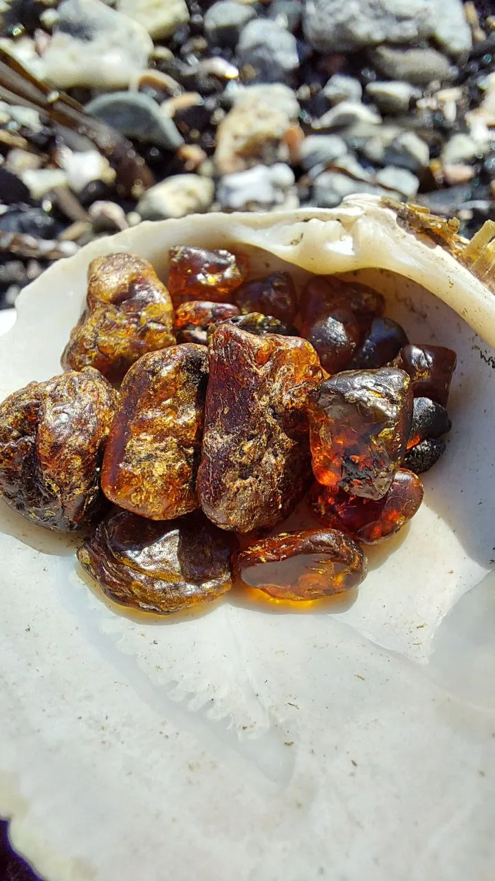 Сахалин туризм — природа