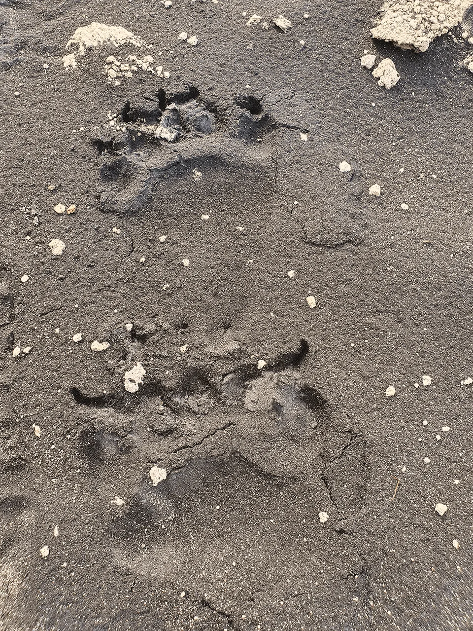 Туры на Итуруп