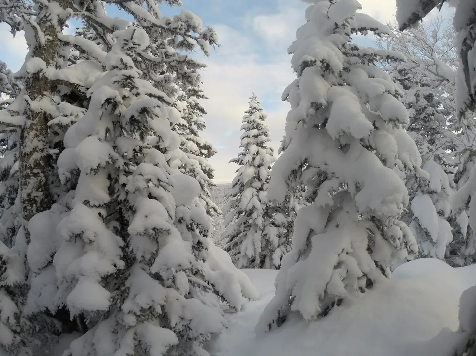 Зимний тур на остров Сахалин
