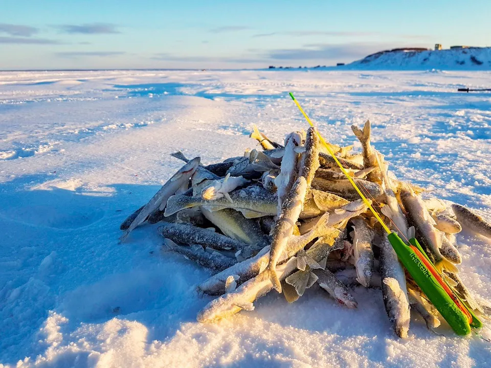 Рыбалка на Сахалине зимой