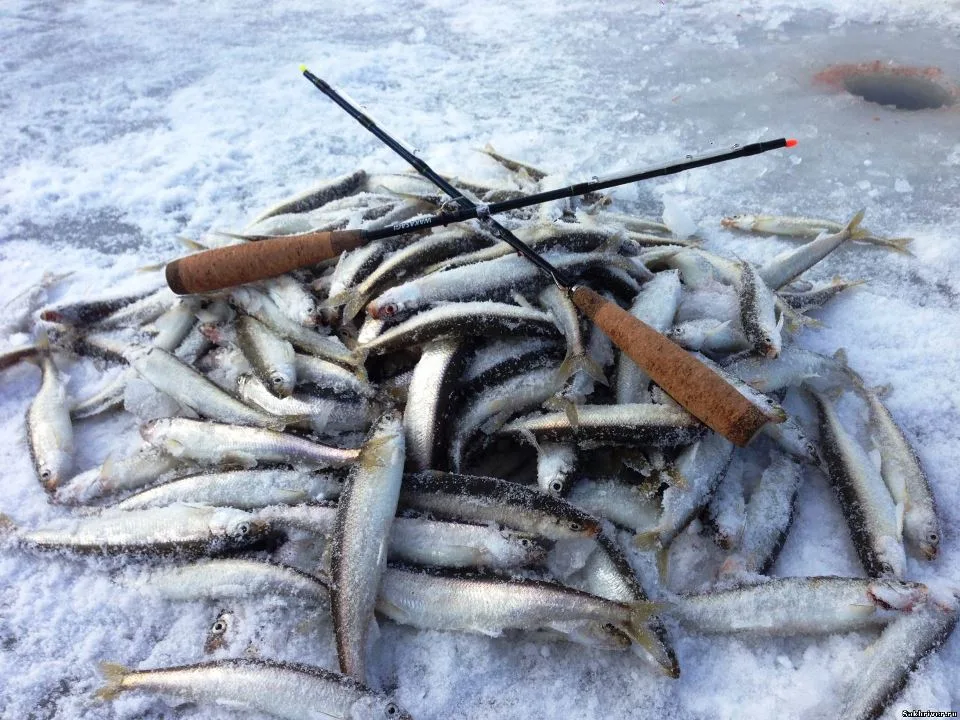 Зимний тур — рыбалка